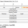 【図解/OSPF】LSA Type2 (Network LSA)のフォーマットと詳細