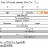 【図解/OSPF】LSA Type3 (Network Summary LSA)のフォーマットと詳細