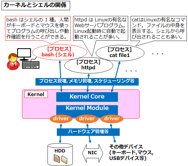 図解 Windows Linuxのカーネルとシェルの違いと役割 一般ユーザとシステムユーザ サービスユーザ からの見え方 Seの道標