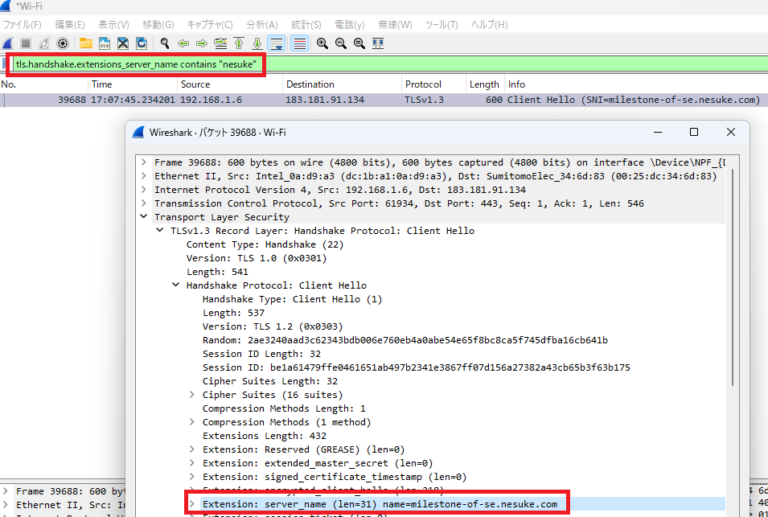 【wireshark】http/httpsの宛先URLのフィルタ、表示 SEの道標